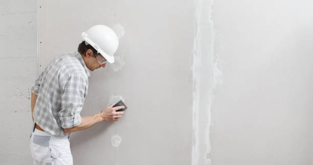 Trusted Skidway Lake, MI Drywall & Painting Services Experts